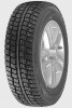 Vettore Inverno V-524